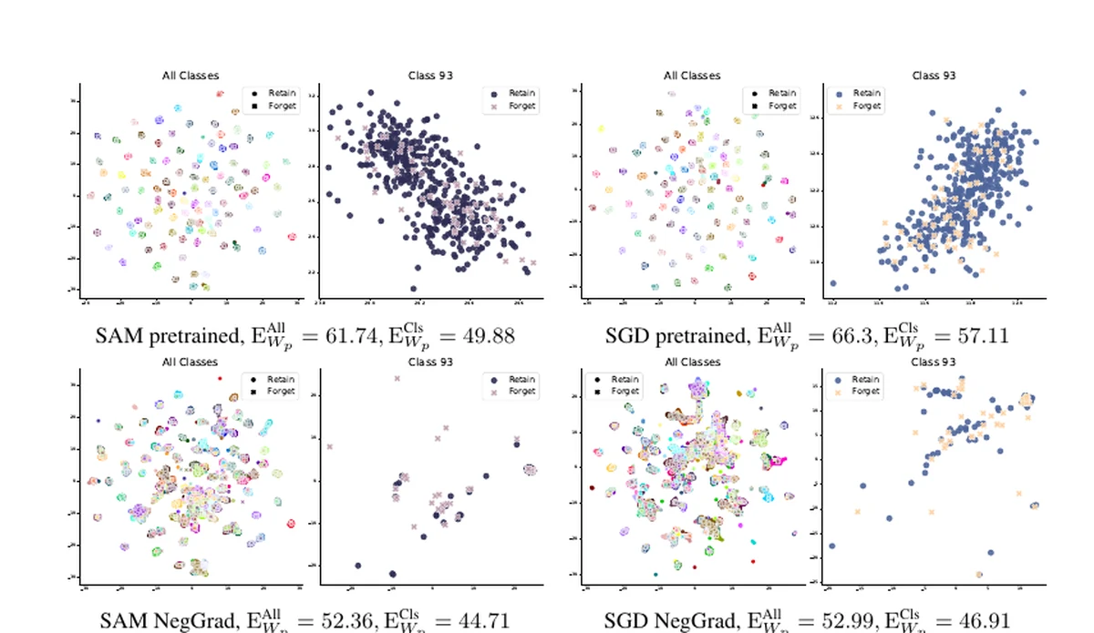 UMAP plots comparing retained and forgotten model features after machine unlearning